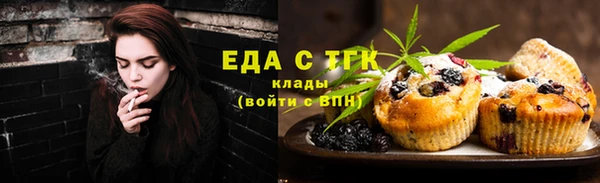 эйфоретик Богданович