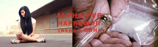стафф Богородицк