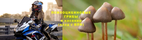 стафф Богородицк