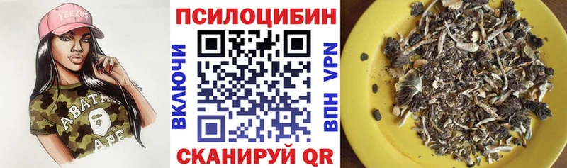 Купить где  Прохладный  Псилоцибиновые грибы ЛСД 